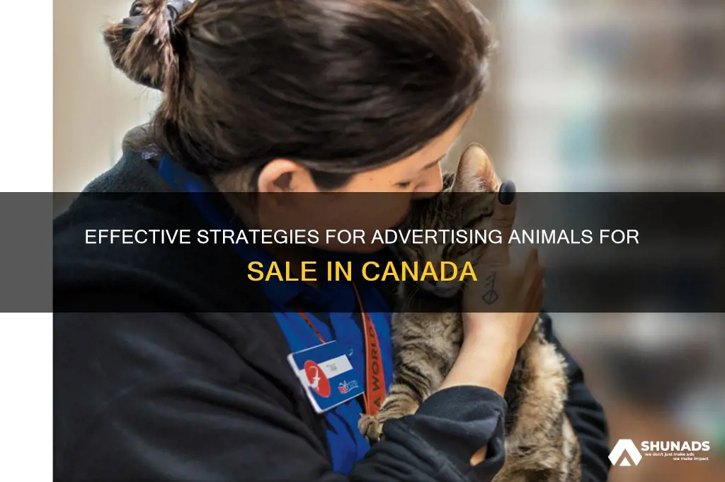 how to advertise animals for sale in canada