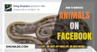 Effective Facebook Strategies for Promoting and Advertising Animals Online
