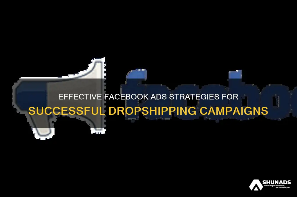 how to advertise dropshipping on facebook