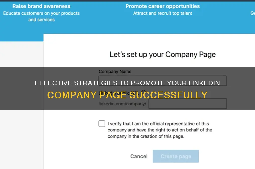 how to advertise linkedin company page