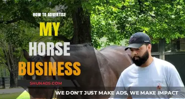 Effective Strategies to Promote and Grow Your Horse Business Successfully