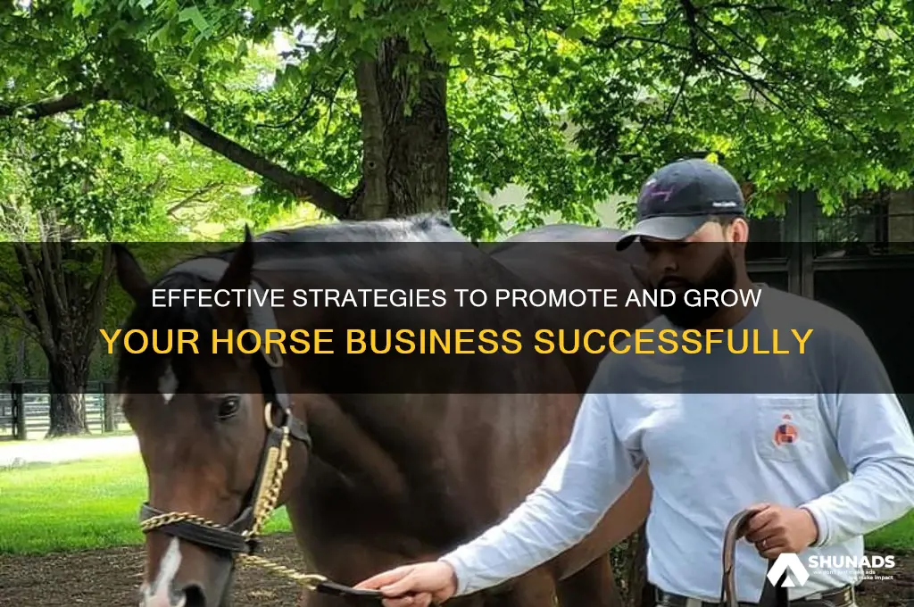 how to advertise my horse business