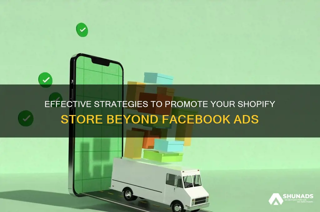 how to advertise my shopify store without facebook