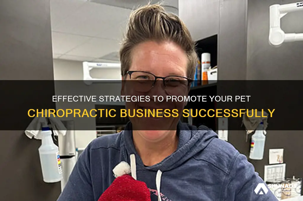 how to advertise pet chiropractic business