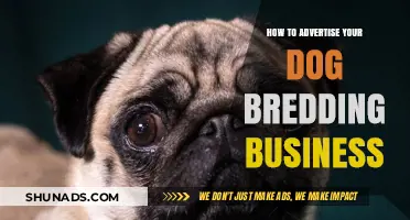 Effective Strategies to Promote Your Dog Breeding Business Successfully