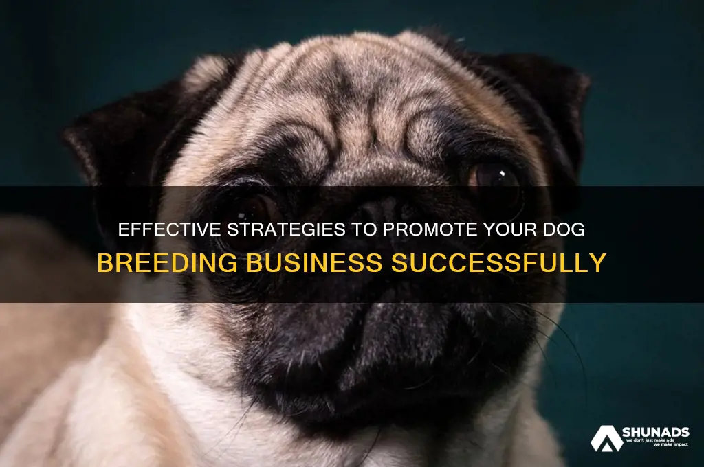 how to advertise your dog bredding business
