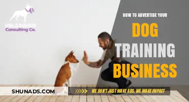 Effective Strategies to Promote Your Dog Training Business Successfully