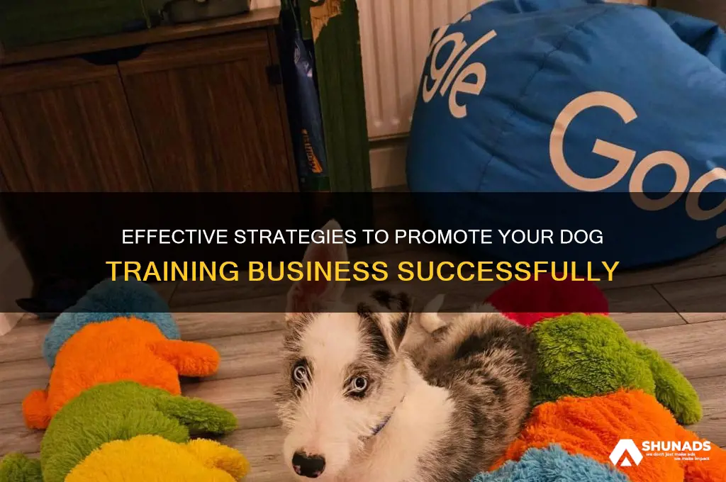 how to advertise your dog training business