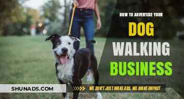 Effective Strategies to Promote Your Dog Walking Business and Attract Clients