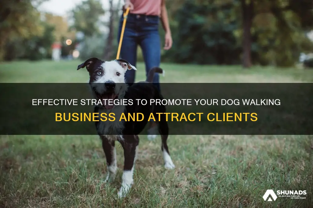 how to advertise your dog walking business