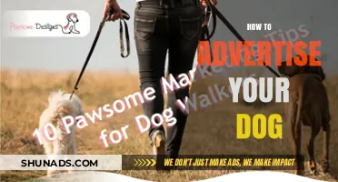 Effective Strategies to Advertise Your Dog: A Comprehensive Guide