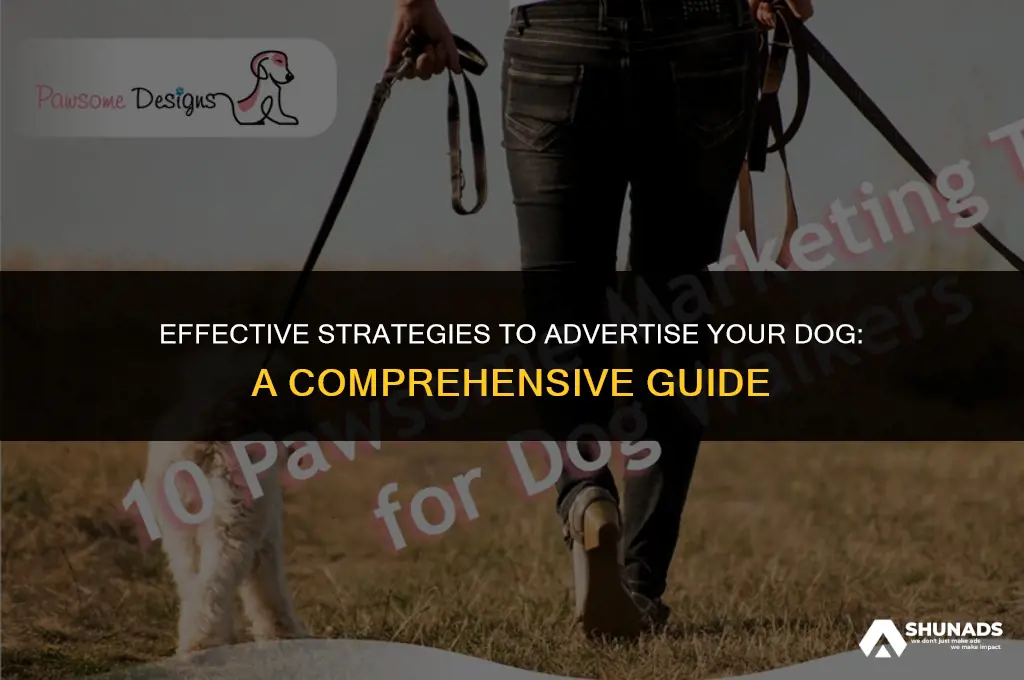 how to advertise your dog