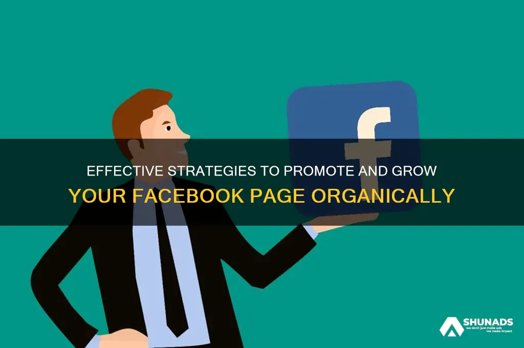 how to advertise your facebook page