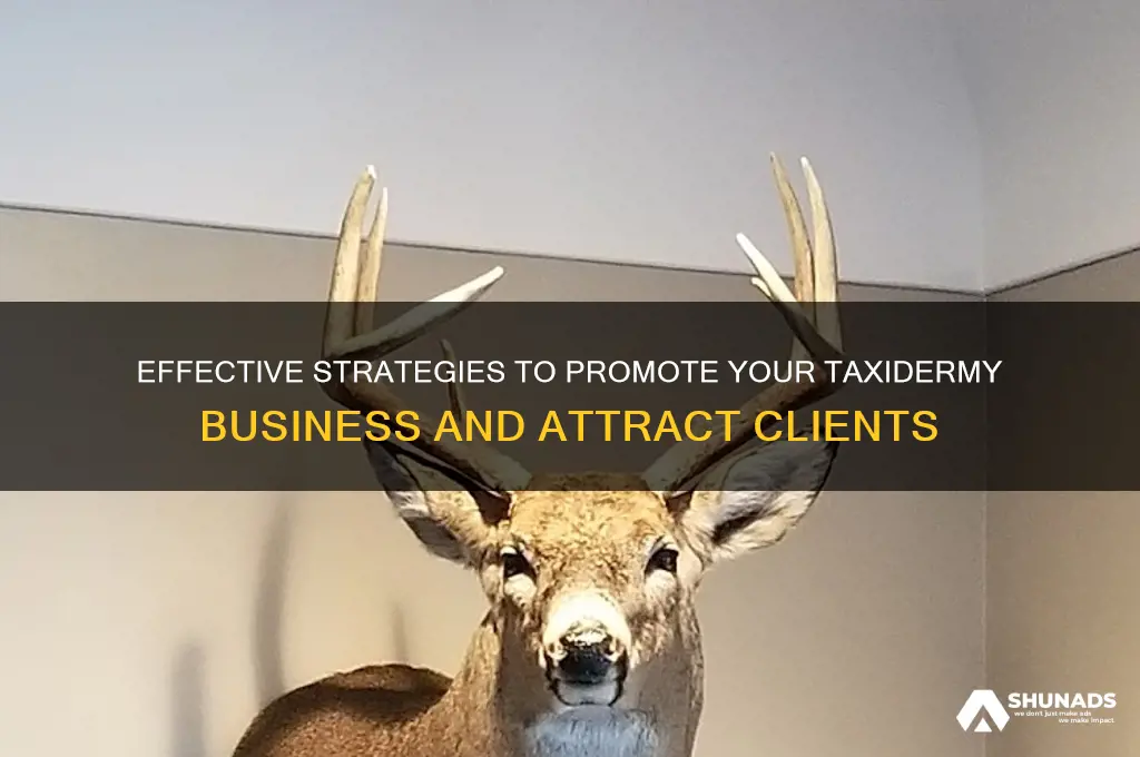 how to advertise your taxidermy business