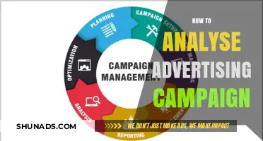 Decoding Success: A Guide to Analyzing Advertising Campaigns