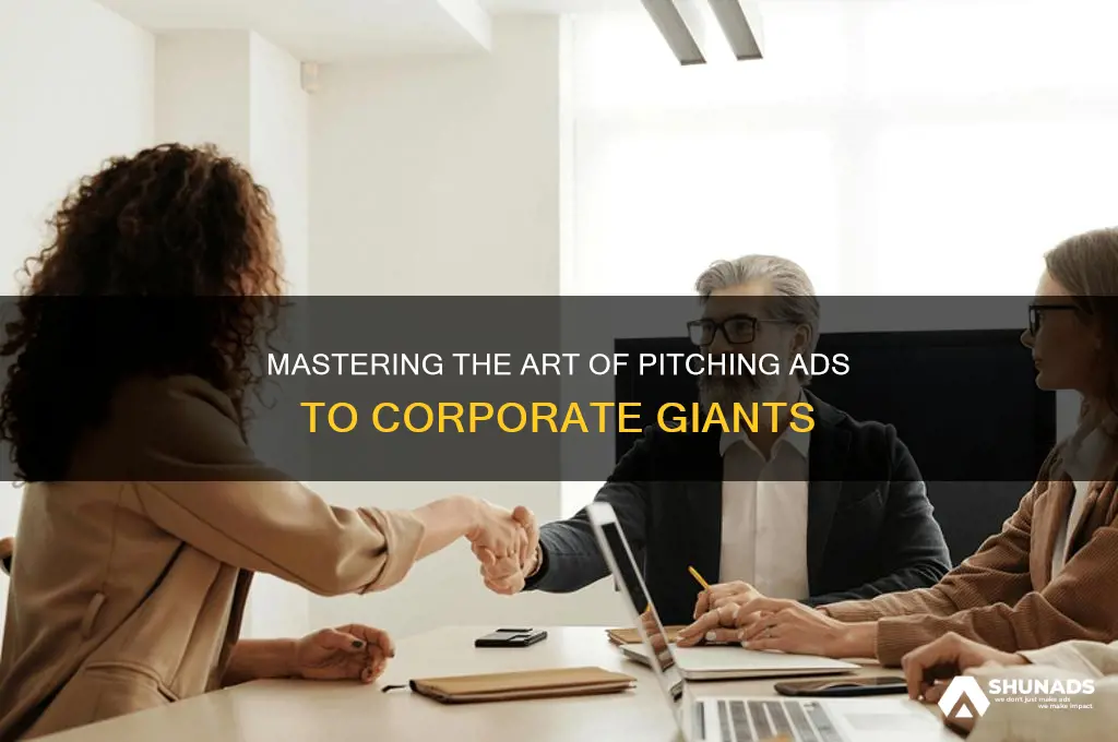 how to approach big companies for advertising