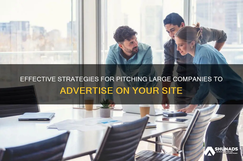 how to approach large companies to advertise on my site