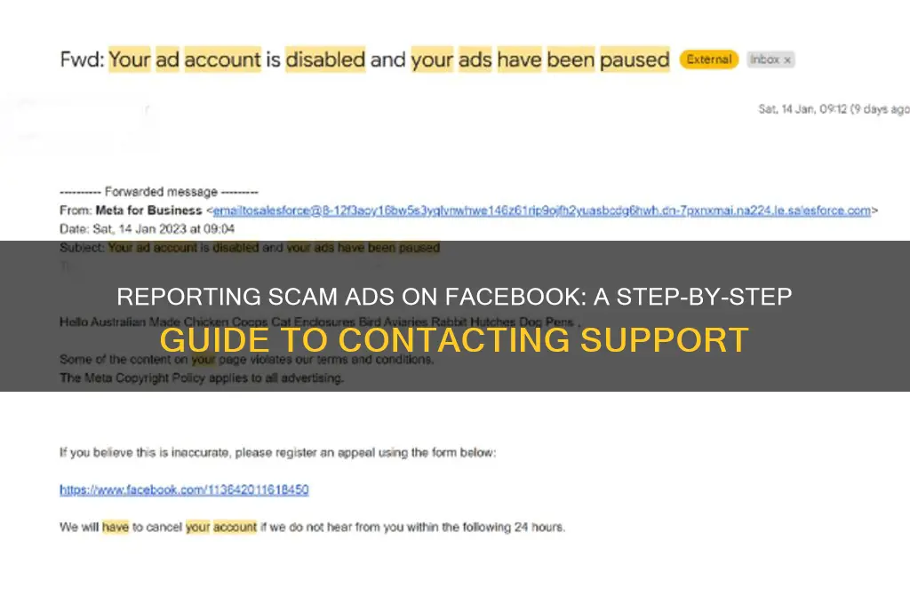 how to contact facebook about scam advertising
