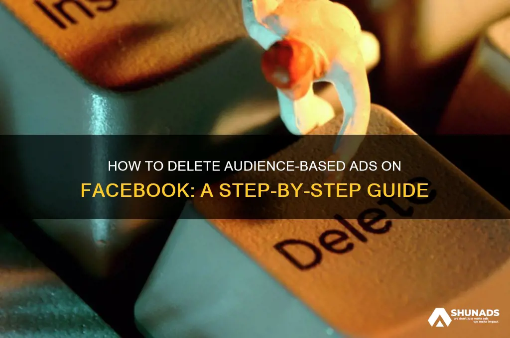 how to delete audience based advertising on facebook