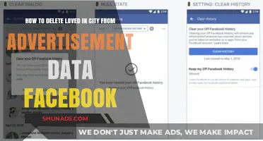 How to Remove Loved in City from Facebook Ad Data