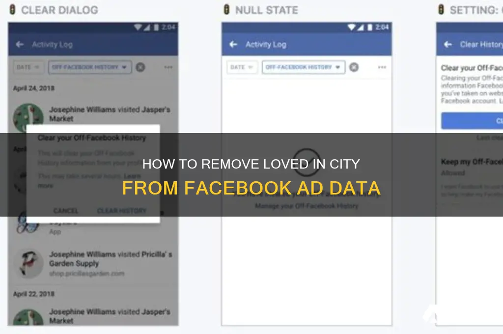 how to delete loved in city from advertisement data facebook