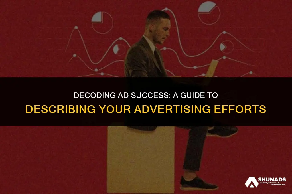 how to describe advertising efforts