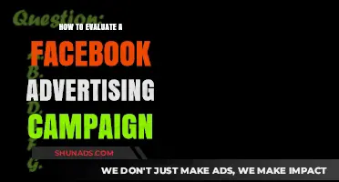 Mastering Facebook Ads: Effective Strategies to Evaluate Campaign Performance