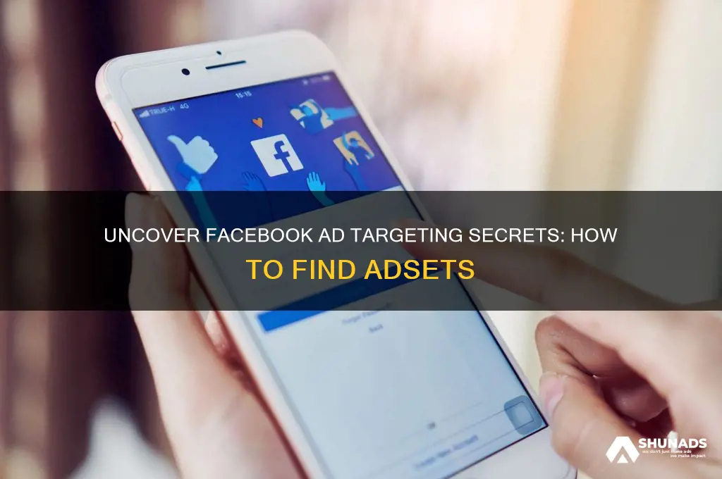 how to find what adsets facebook advertisers target