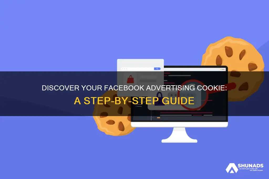how to find your facebook advertising cookie