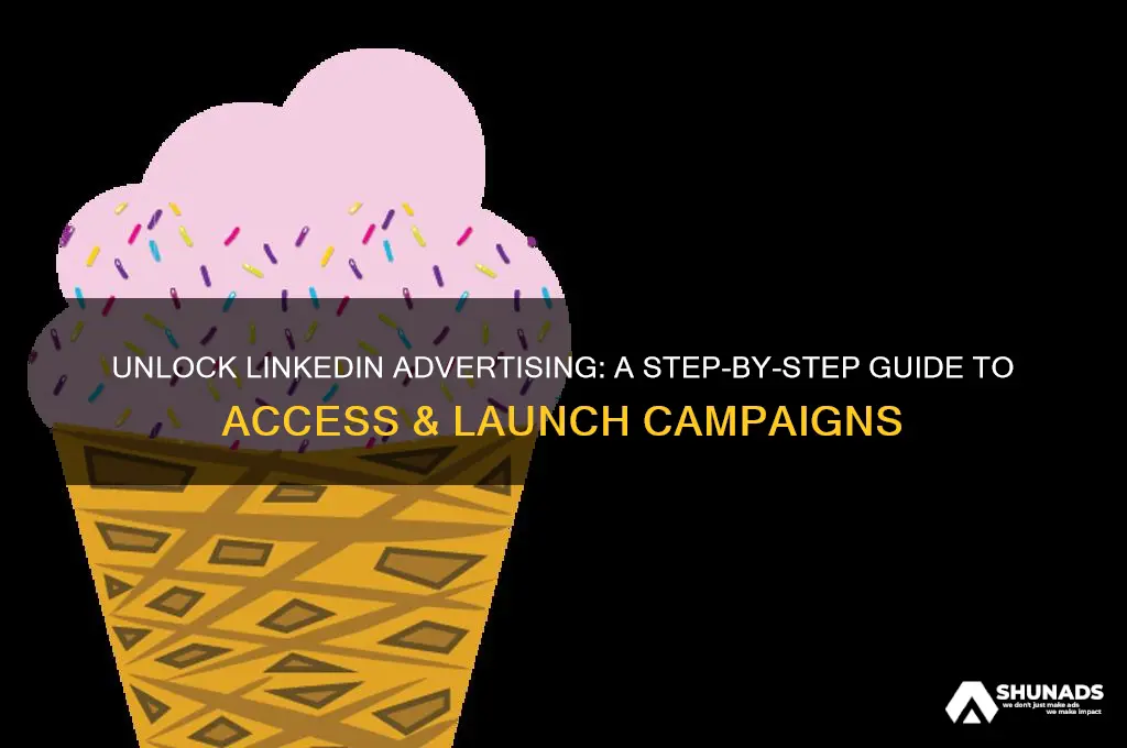 how to get access to linkedin for advertising