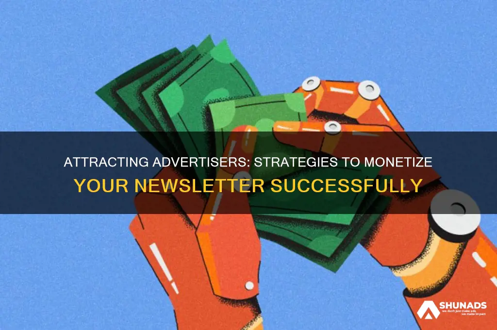 how to get advertisers for your newsletter