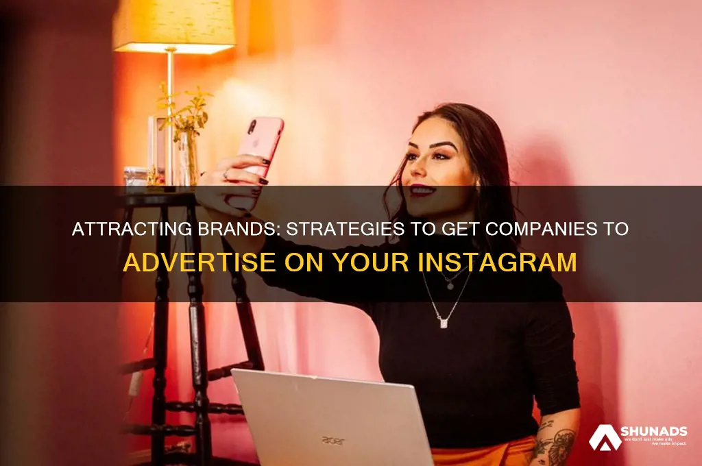 how to get companies advertise on my intstagram