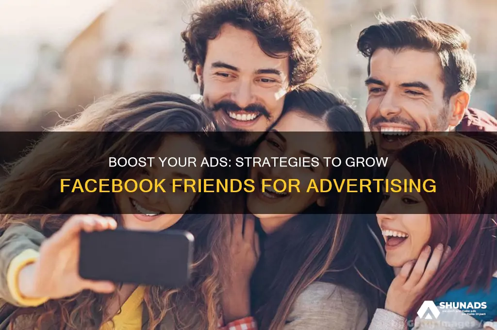 how to get facebook friends for advertising