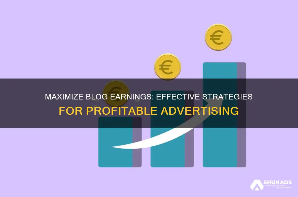 how to get money from advertising on your blog