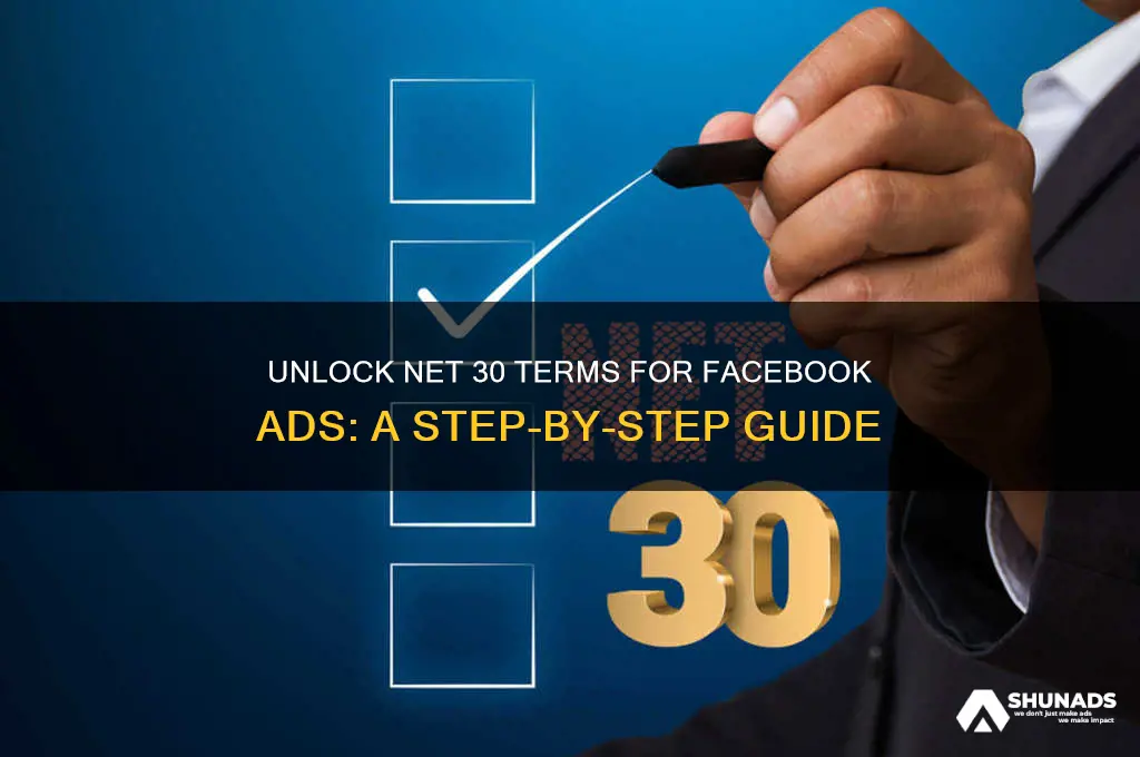 how to get net 30 terms on facebook advertising
