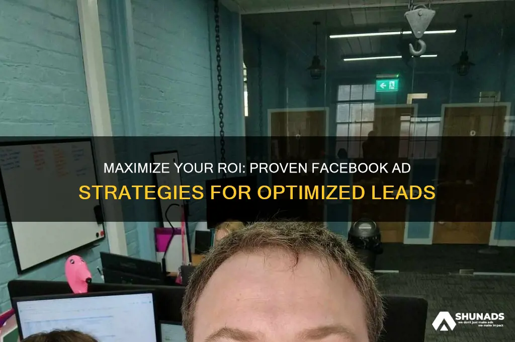 how to get optimized leads through facebook advertising