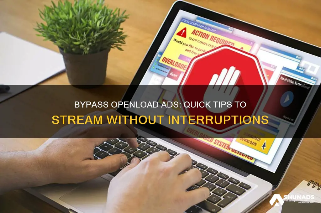 how to get past advertisement on openload