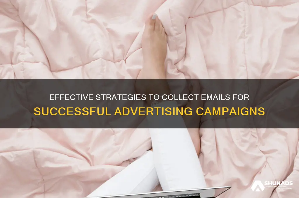 how to get people email to send advertising