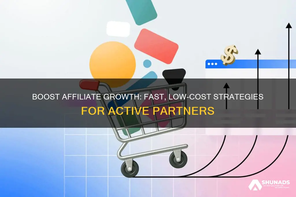how to get real active affiliates fast low cost advertising