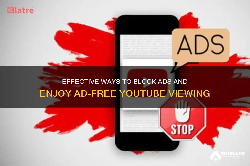 how to get rid of advertisement on u tube