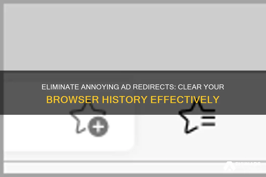 how to get rid of advertisement redirects history