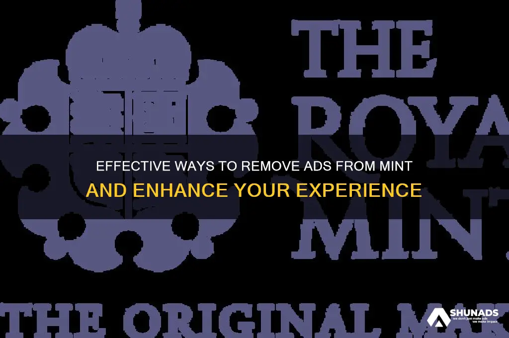 how to get rid of advertisements mint