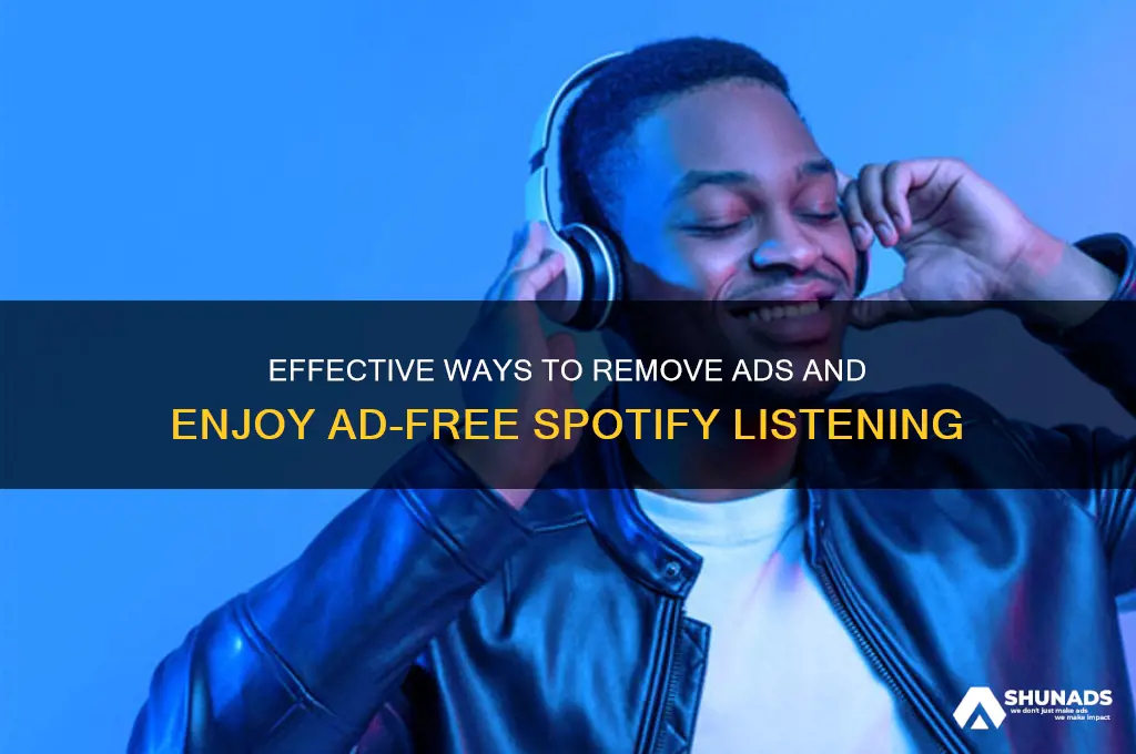 how to get rid of advertising on spotify