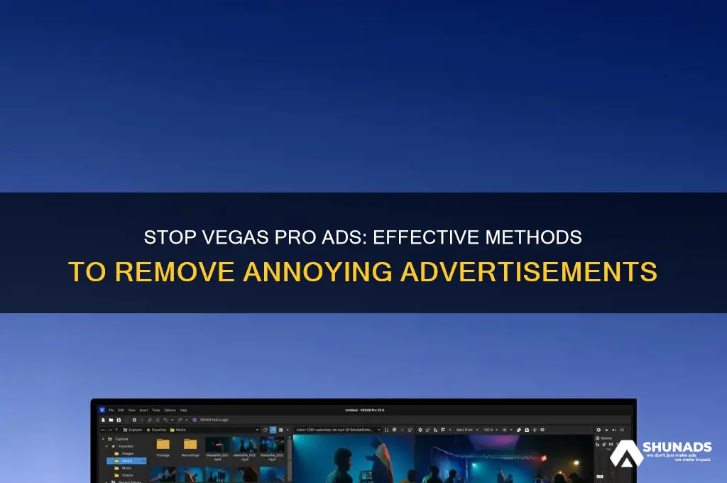 how to get rid of vegas pro advertisements