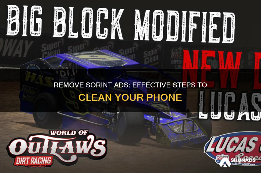 how to get sorint advertisement off my phone