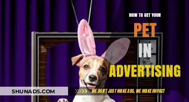 Pet Stars: How to Launch Your Furry Friend into Advertising