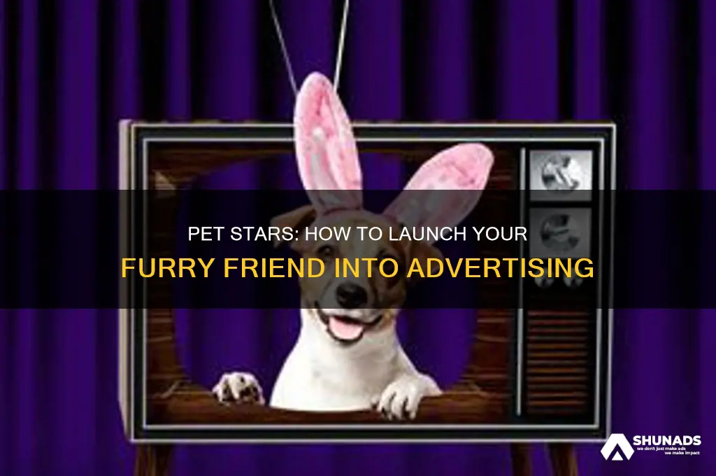 how to get your pet in advertising