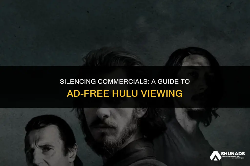 how to make hulu stop saying advertisement