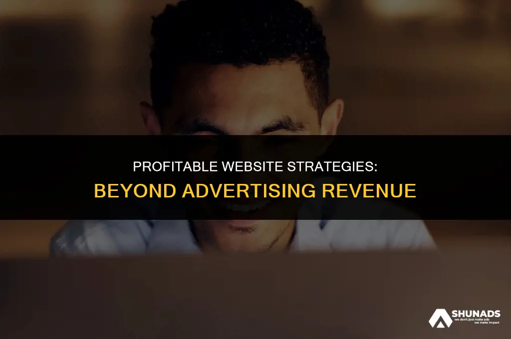 how to make money on a website without advertising