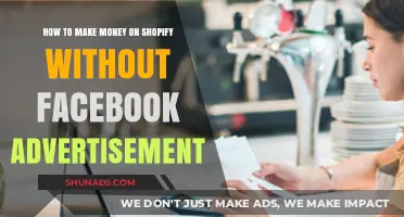 Profitable Shopify Strategies: Earning Without Facebook Ads
